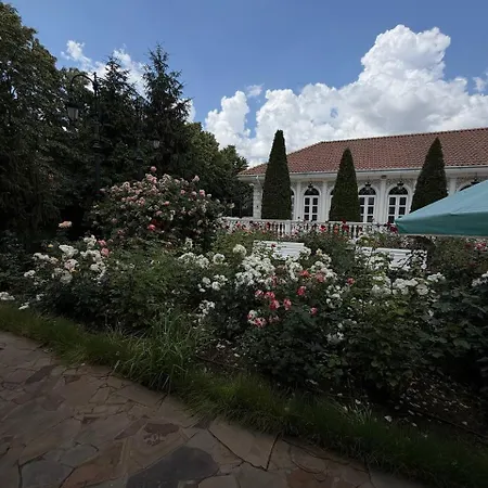 совіньон Guest house